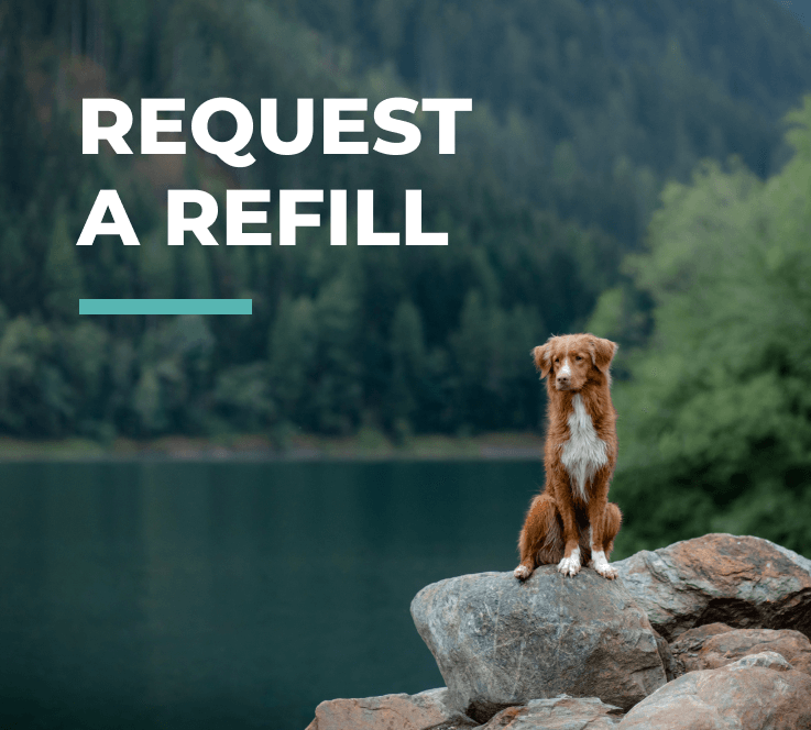 Request a Refill